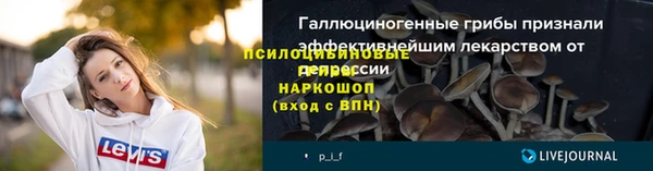 трава Каменка