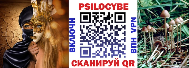 Купить  Кувандык  Псилоцибиновые грибы GOLDEN TEACHER 